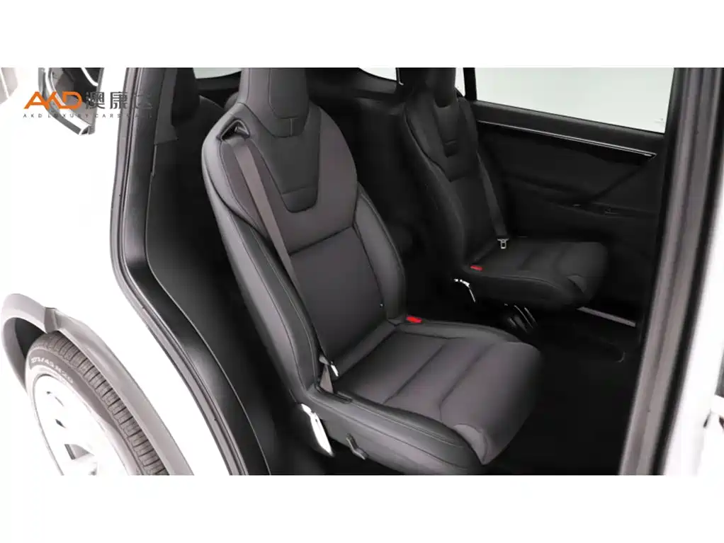 Tesla Model X 2017 2017 Model X 100D Long Range