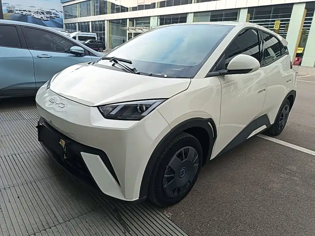 BYD Seagull 2024