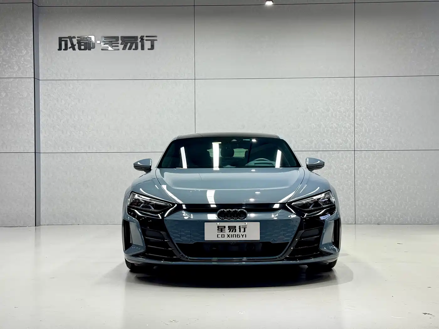 Audi e-tron GT 2024 2023 Base Model