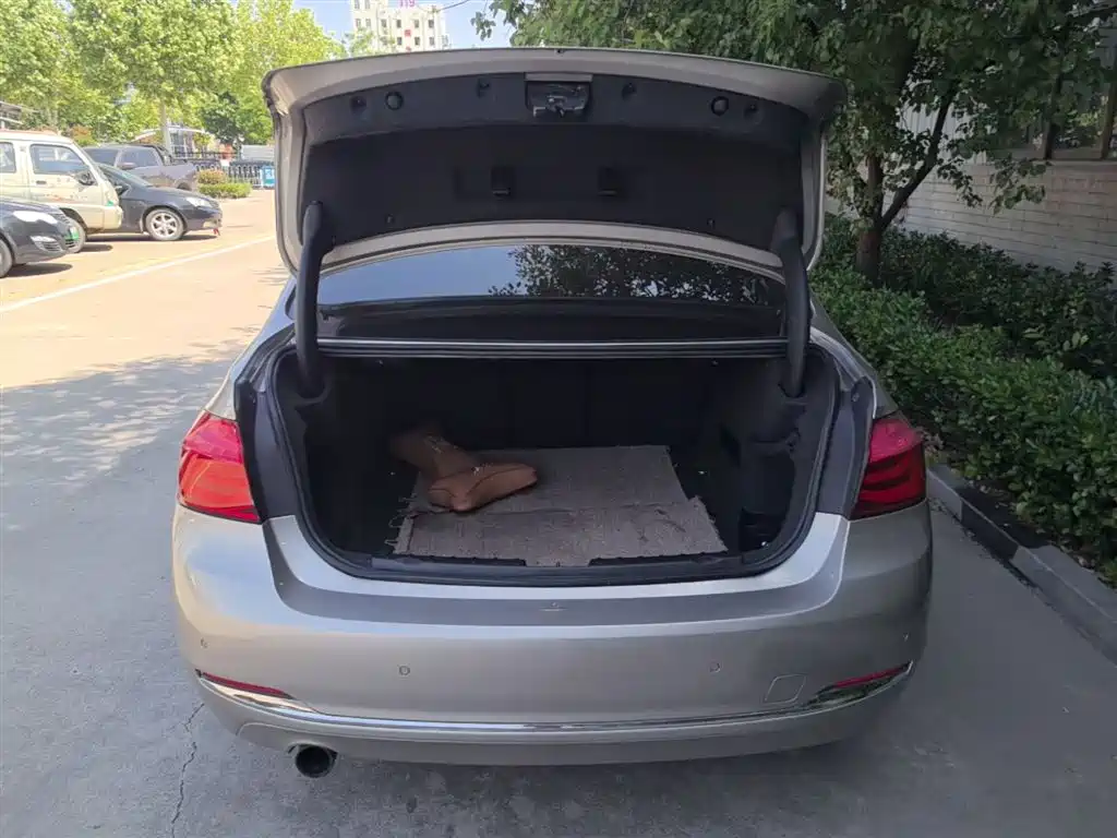BMW 3 Series 2016 320Li Progressive фото 19