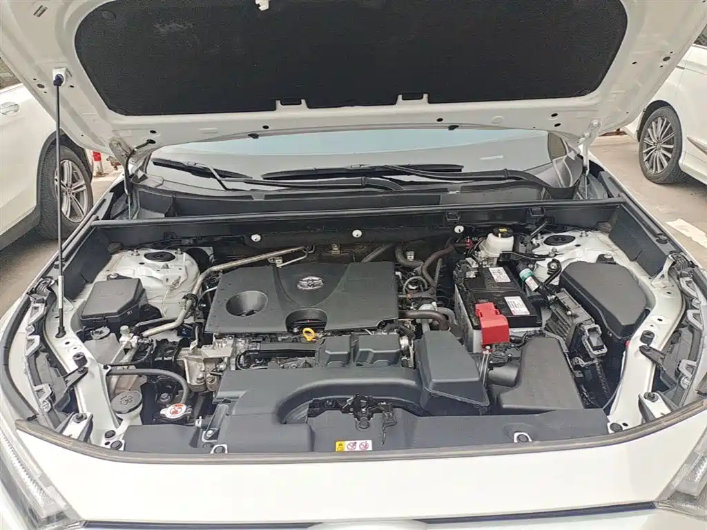 Toyota RAV4 Rongfang 2023 2.0L CVT 2WD 20th Anniversary Platinum Edition фото 20