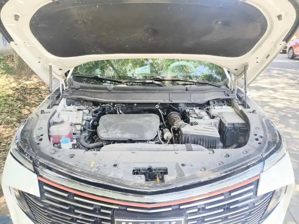 Haval Shenshou 2022 2022 1.5T Smart Enjoyment Edition