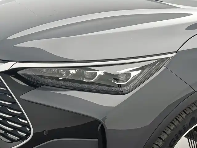 BYD Tang New Energy 2024 2024 DM-i Honor Edition 112KM Premium