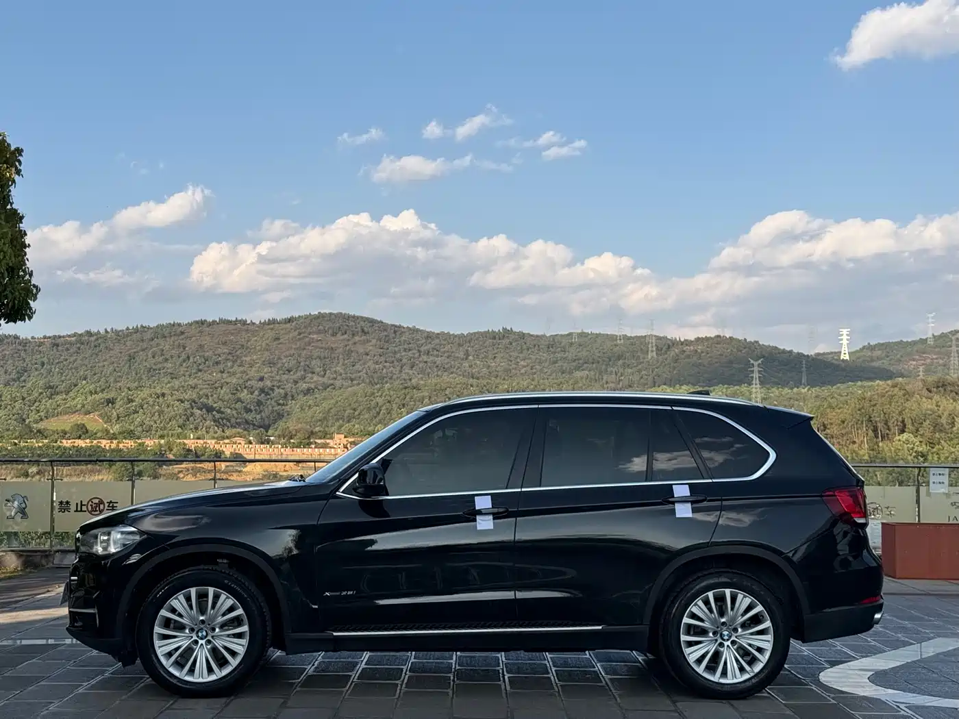 BMW X5 (Import) 2014 xDrive35i Leading фото 10