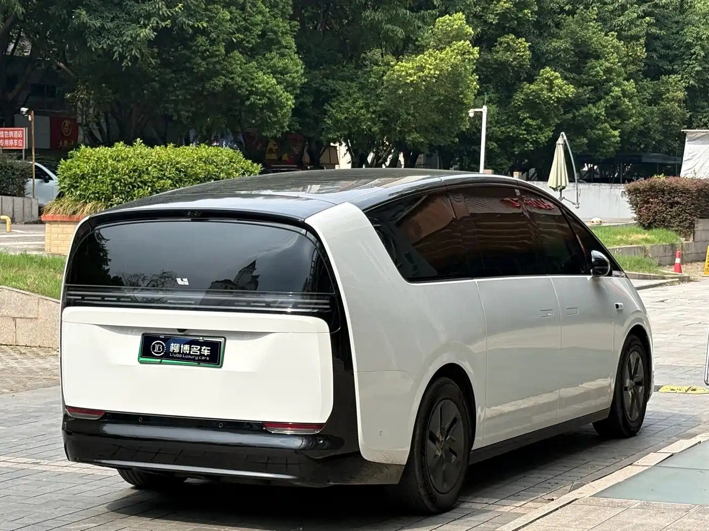 Li Auto MEGA 2025 2025 Model Home Family Special Edition