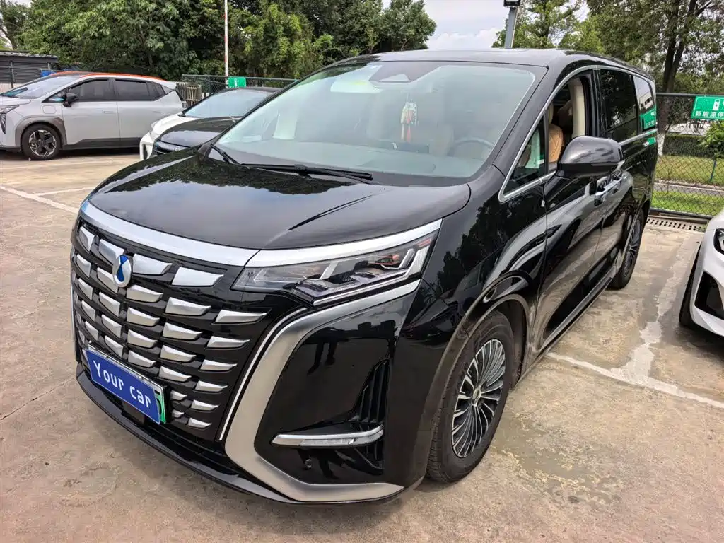 Denza D9 2024 DM-i 980 AWD Flagship