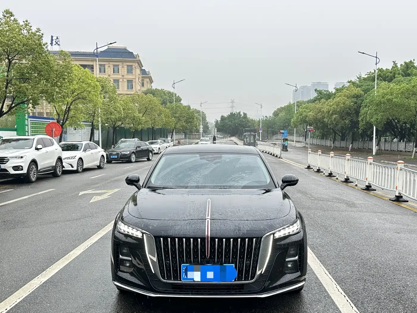 Hongqi H5 2024 2.0T Automatic Smart Connect Flag Enjoy Edition фото 2