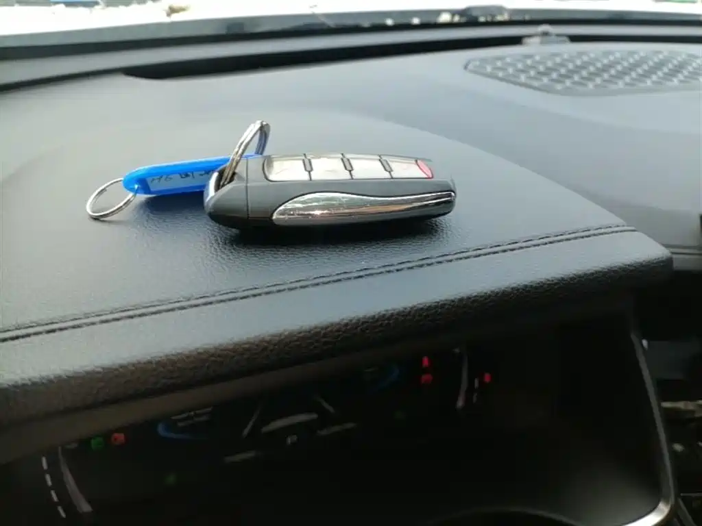 Haval H6 2023 National Trend Edition 1.5T Automatic Champion фото 9