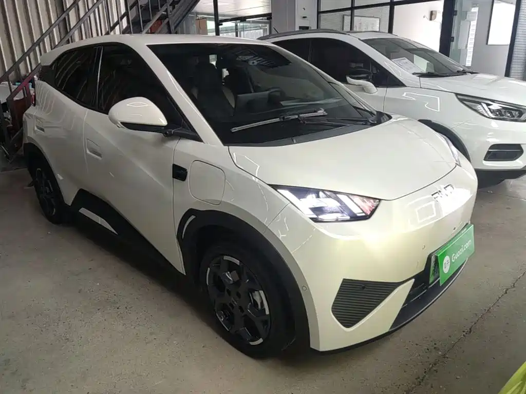 BYD Seagull 2025 Smart Drive Edition 305km Freedom Version фото 4