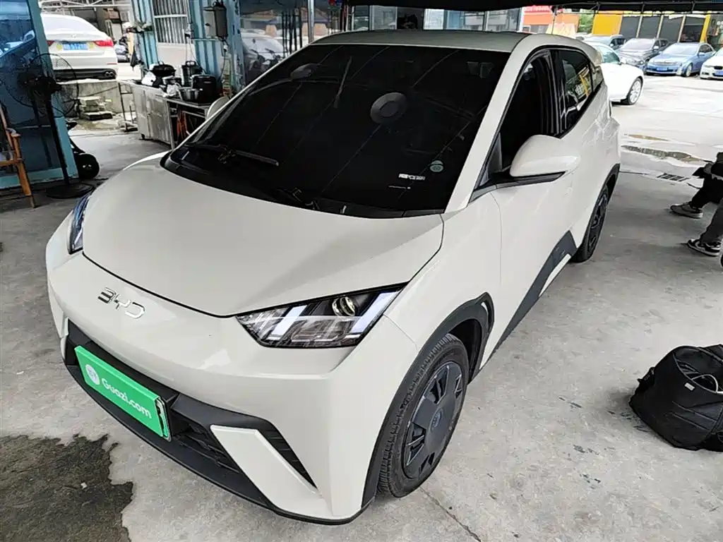 BYD Seagull 2024 Glory Edition 305km Vitality Edition фото 2