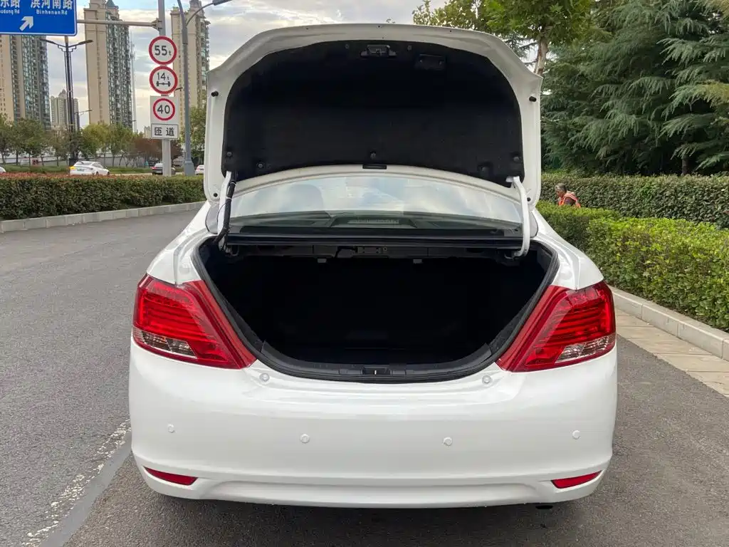 Photo 15 - BYD Surui