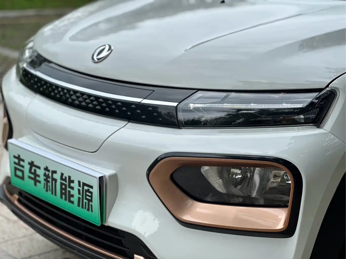 Dongfeng Yipai Nano BOX 2024 2022 Wind Chaser Edition 331KM Standard