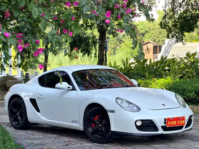 Porsche Cayman 2009 Cayman 2.9L