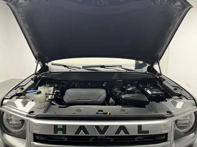 HAVAL BIG DOG