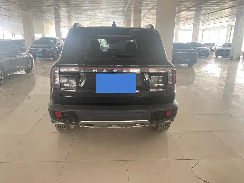 Haval Big Dog 2024 1.5T DCT Border Collie Edition фото 8