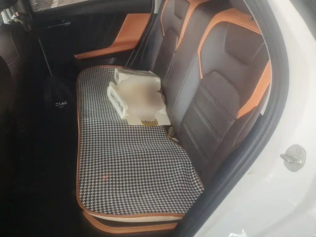 Фото 13 - BYD e2