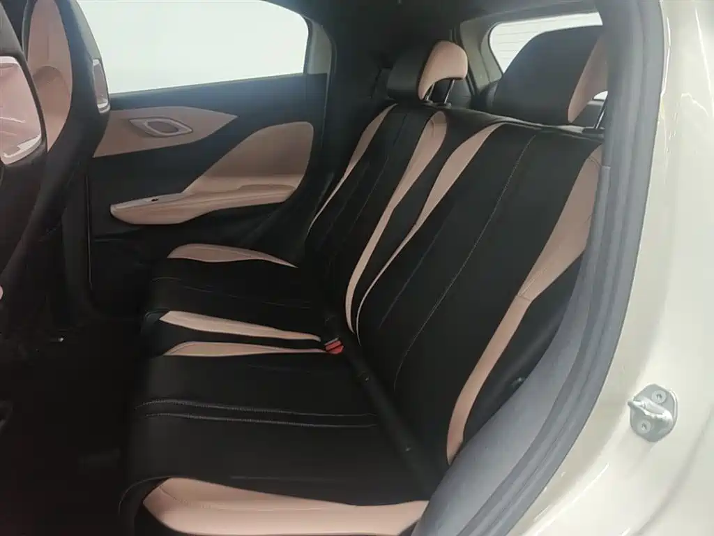BYD Seagull 2025 Smart Drive Edition 305km Vitality Version фото 17