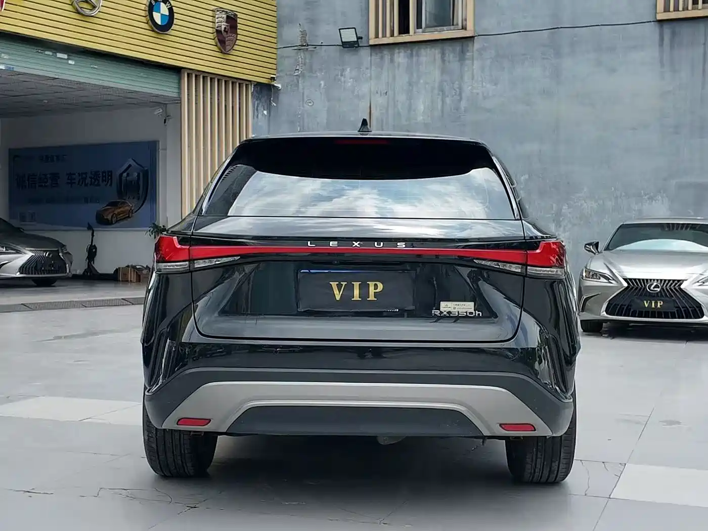Lexus RX 2023 350h 2WD Joy Edition фото 10