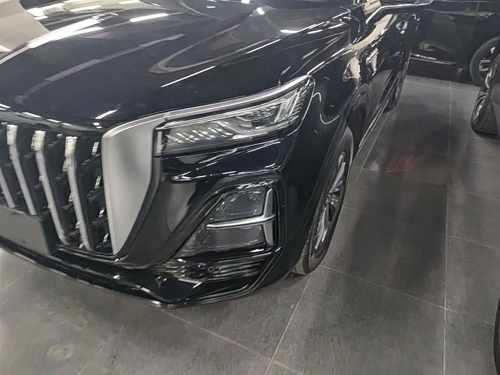 Hongqi HS5 2023 2.0T Flag Enjoy Pro Edition фото 24