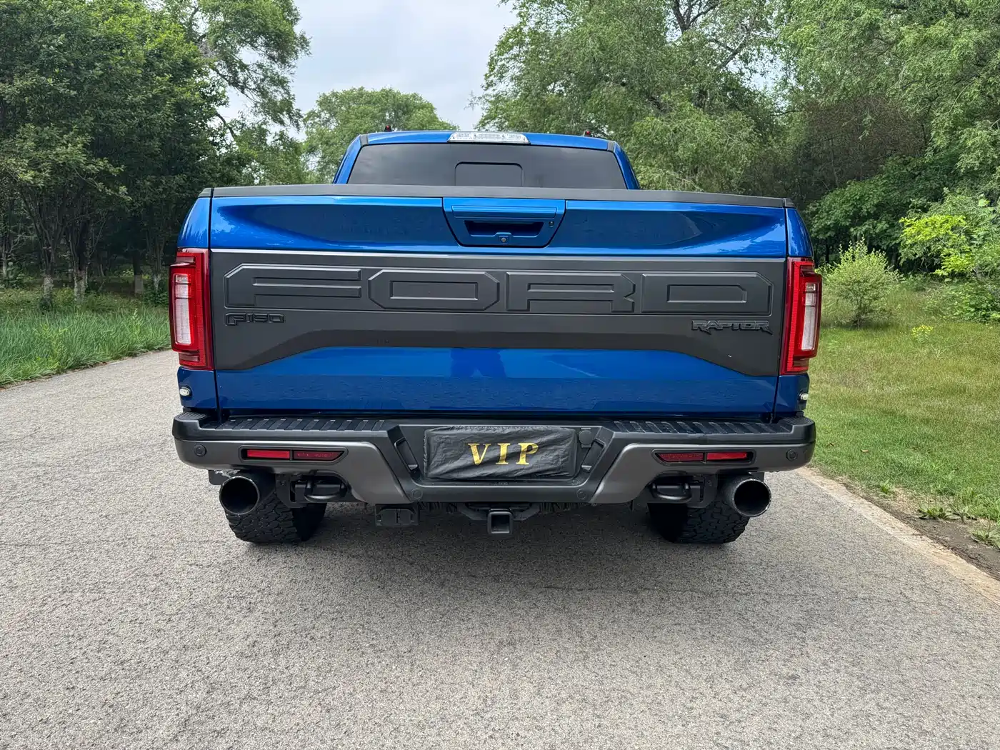 Ford F-150 Raptor 2017 2017 3.5T Raptor Performance Edition