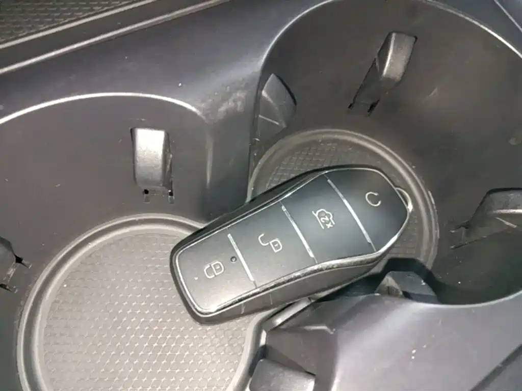 BYD Destroyer 05 2024 Glory Edition DM-i 55KM Luxury фото 11