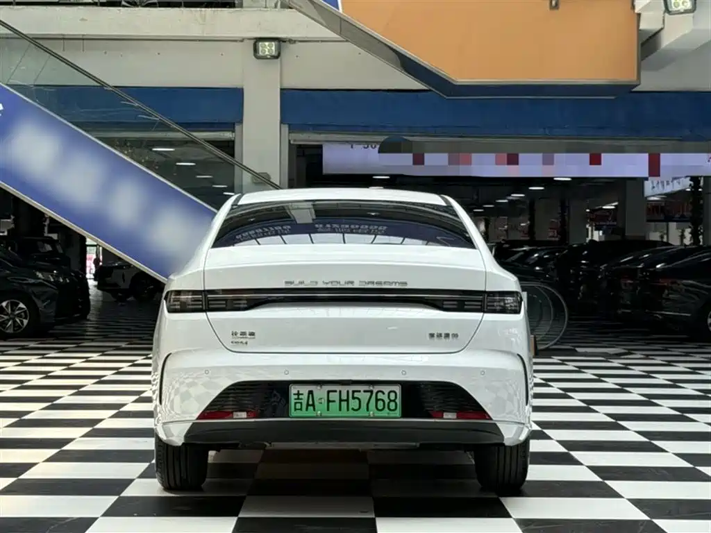BYD Destroyer 05 2024 Glory Edition DM-i 55KM Luxury фото 24