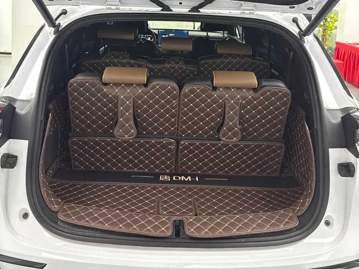 BYD Tang New Energy 2021 DM-i 112KM Honor фото 15