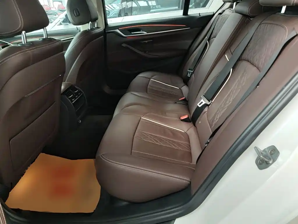 BMW 5 Series 2019 Facelift 530Li Leading Luxury Package фото 17