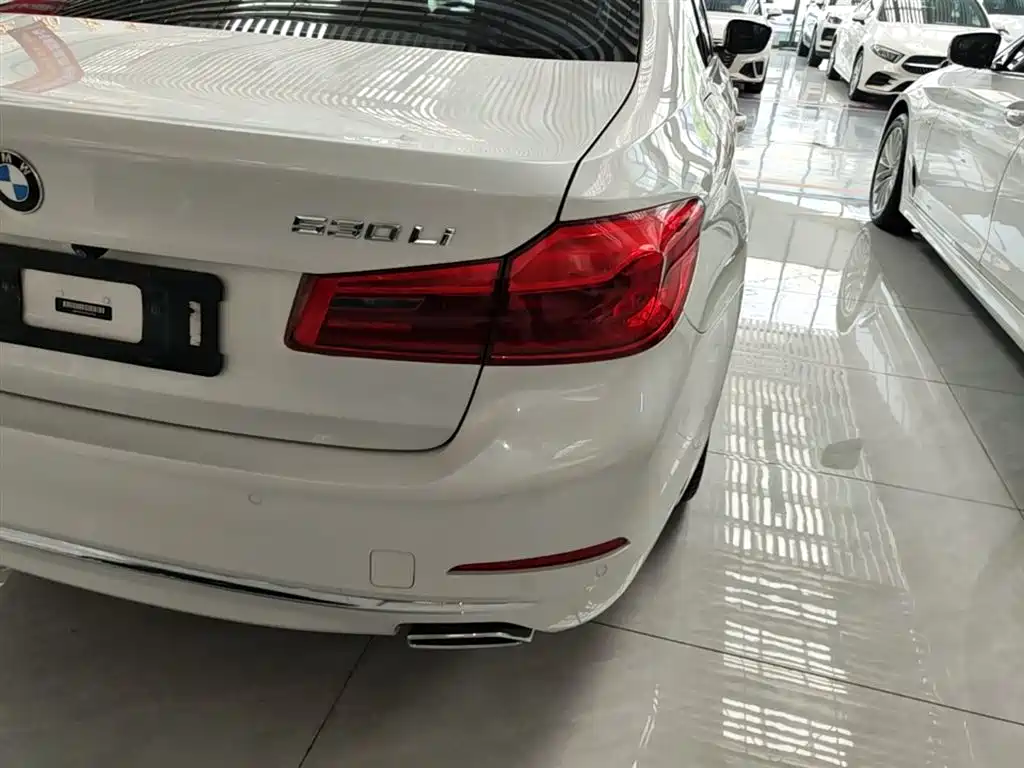 BMW 5 Series 2019 Facelift 530Li Leading Luxury Package фото 8