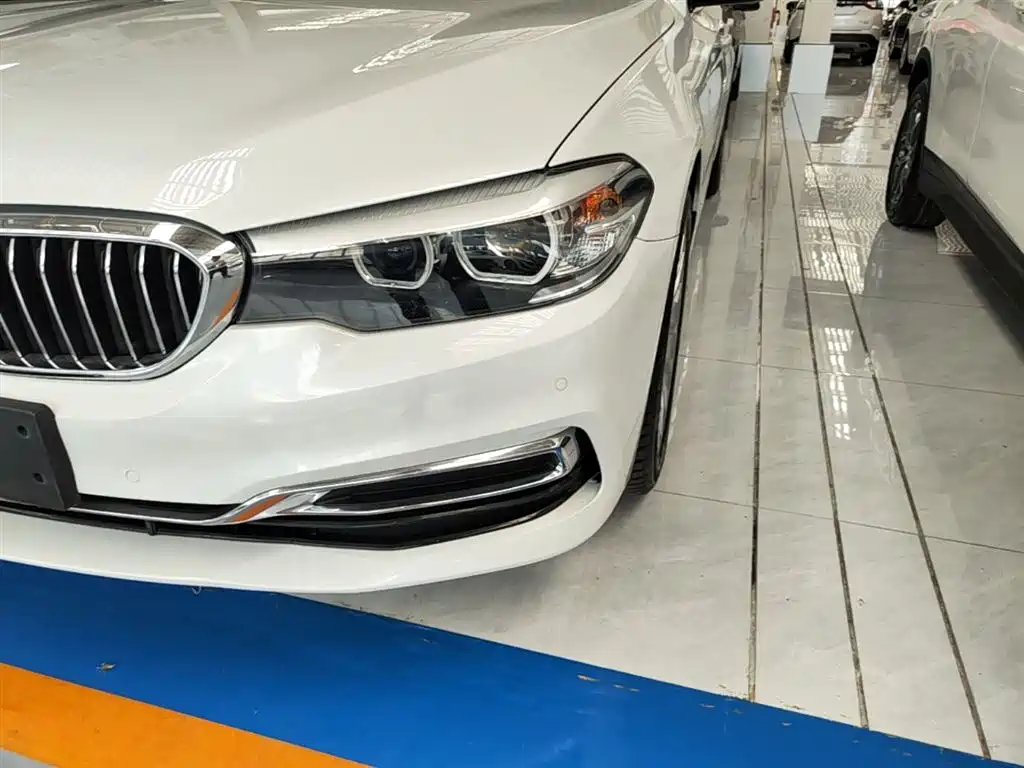 BMW 5 Series 2019 Facelift 530Li Leading Luxury Package фото 24