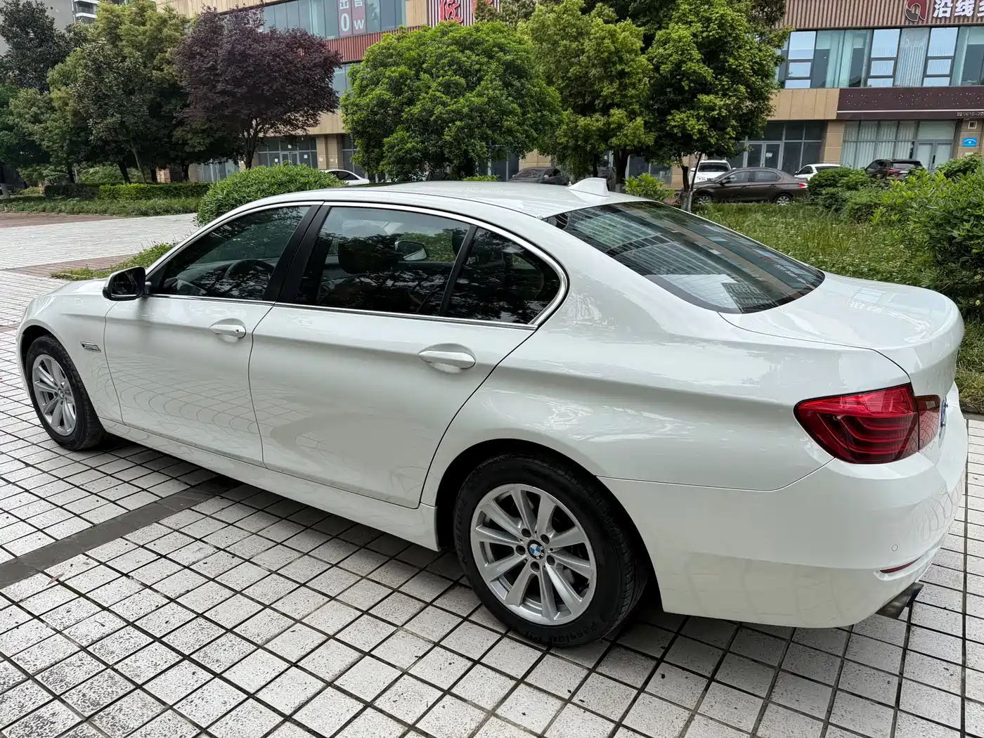 BMW 5 Series 2014 525Li Luxury Design Package фото 12