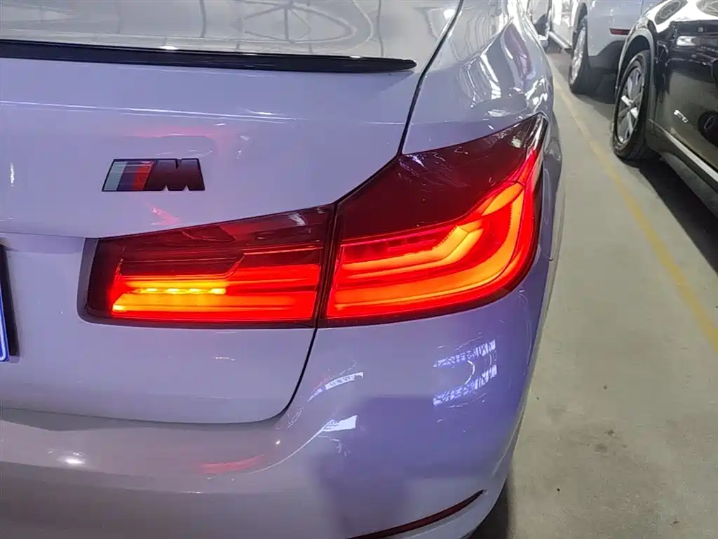 BMW 5 Series 2018 530Li Leading Luxury Package фото 8
