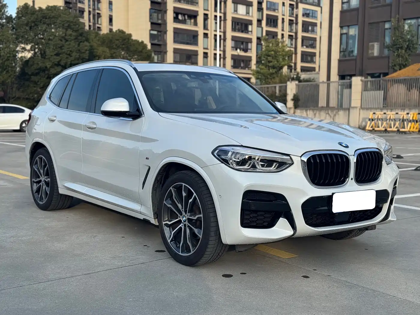 BMW X3 2020 xDrive30i Leading M Sport Package фото 3