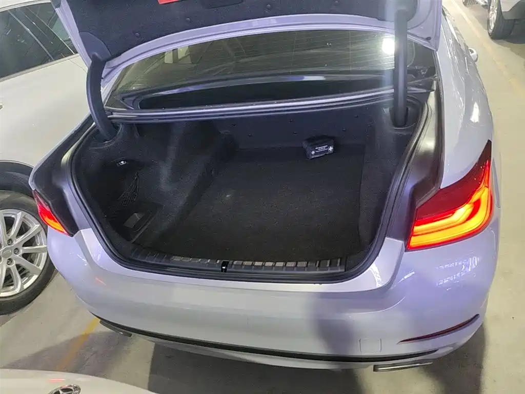 BMW 5 Series 2018 530Li Leading Luxury Package фото 19