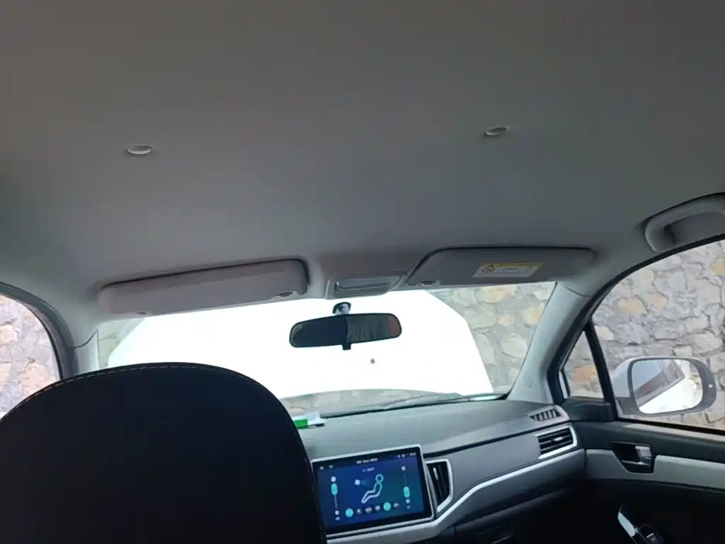 Nezha Auto Nezha N01 2020 2020 380v