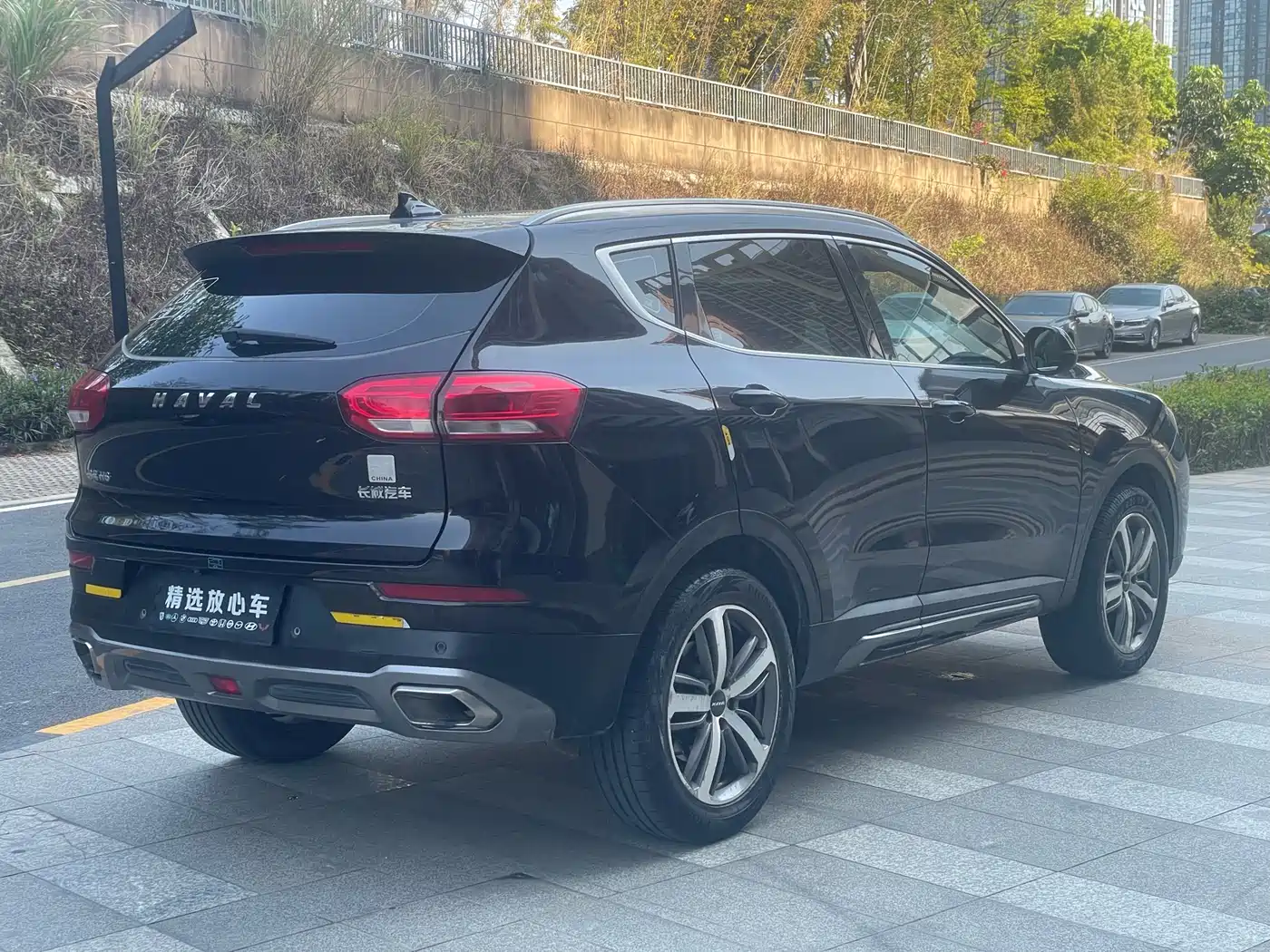 Haval H6 2019 1.5GDIT Auto Luxury Smart Edition China VI фото 5