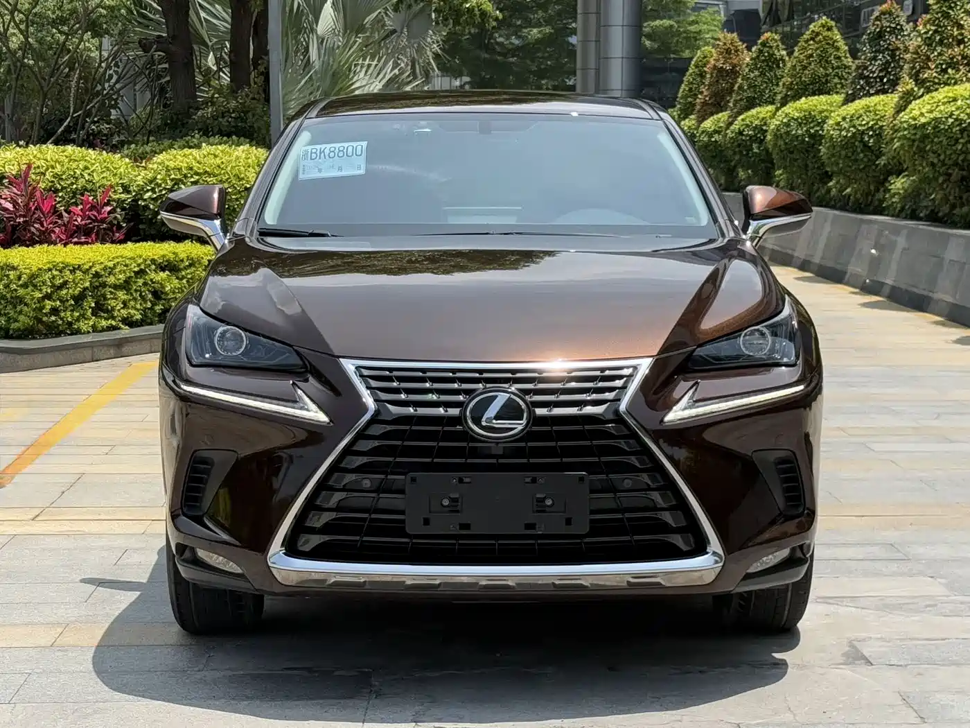 Lexus NX 2018 Model 200 FWD Fengxing Edition China V фото 2