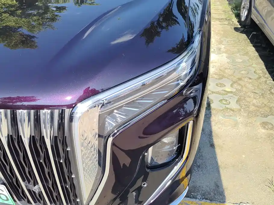 Hongqi HQ9 PHEV 2025 2024 Model 2.0T AWD Business Edition