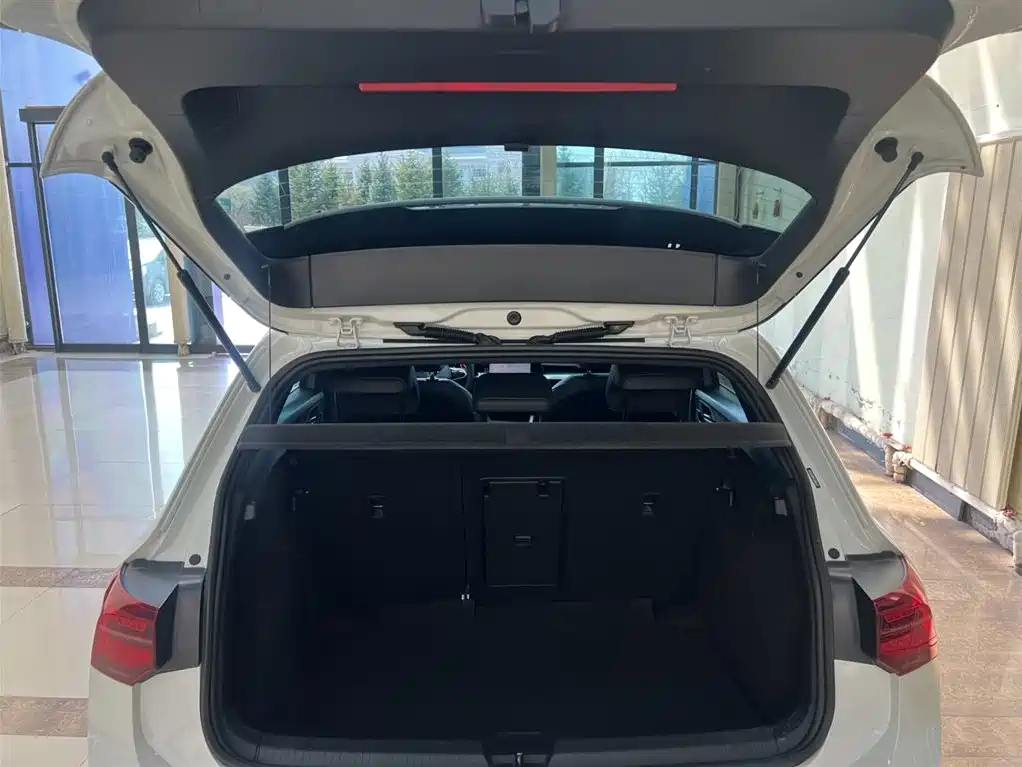 Volkswagen Golf 2021 280TSI DSG R-Line фото 18