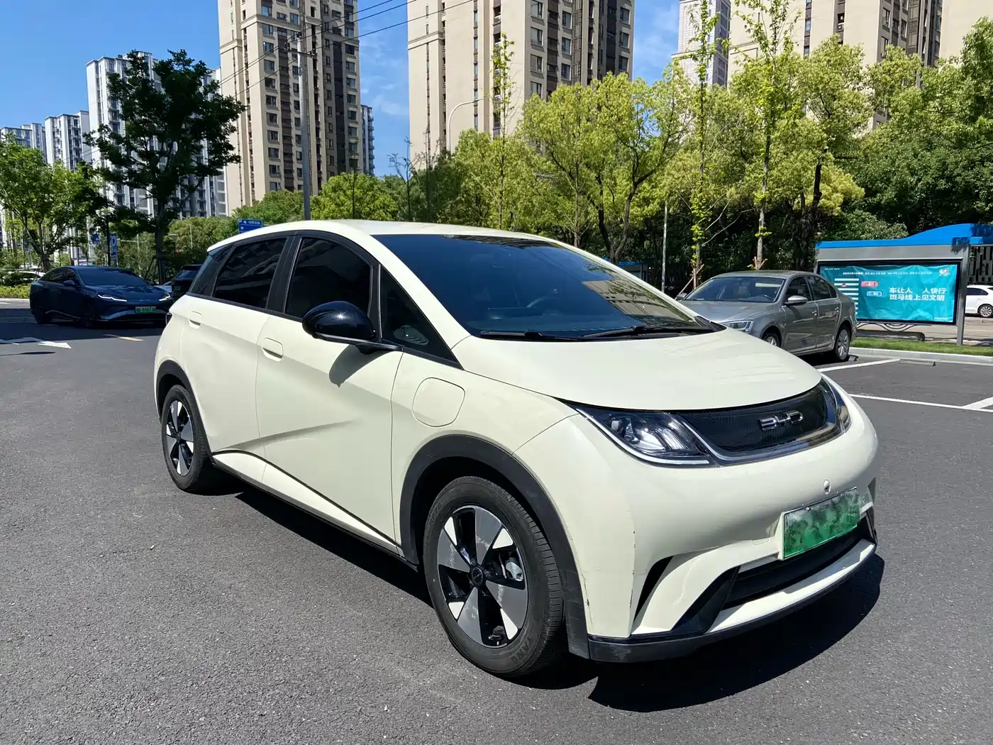 BYD Dolphin 2023 420km Freedom Edition фото 3