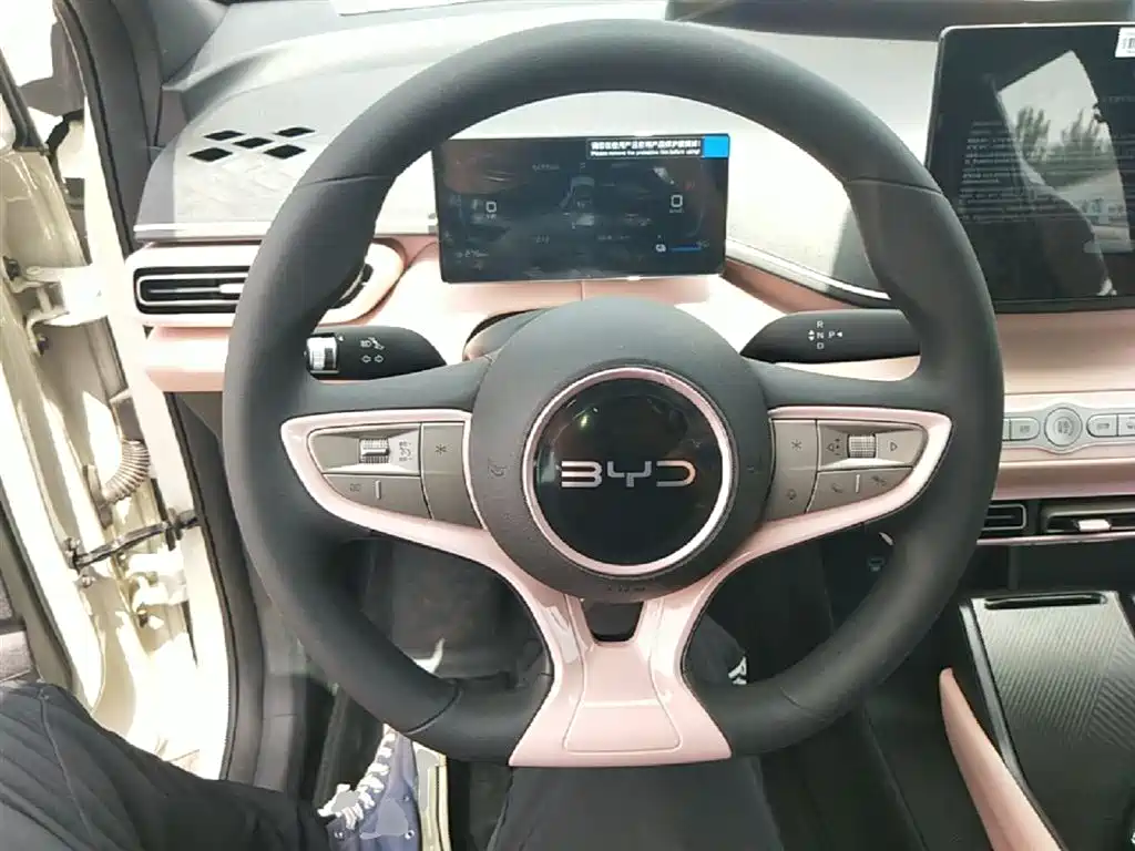 BYD Seagull 2025 Smart Drive Edition 305km Vitality Version фото 11