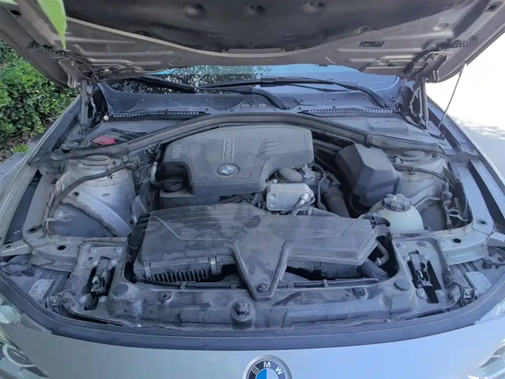 BMW 3 Series 2016 320Li Progressive фото 20