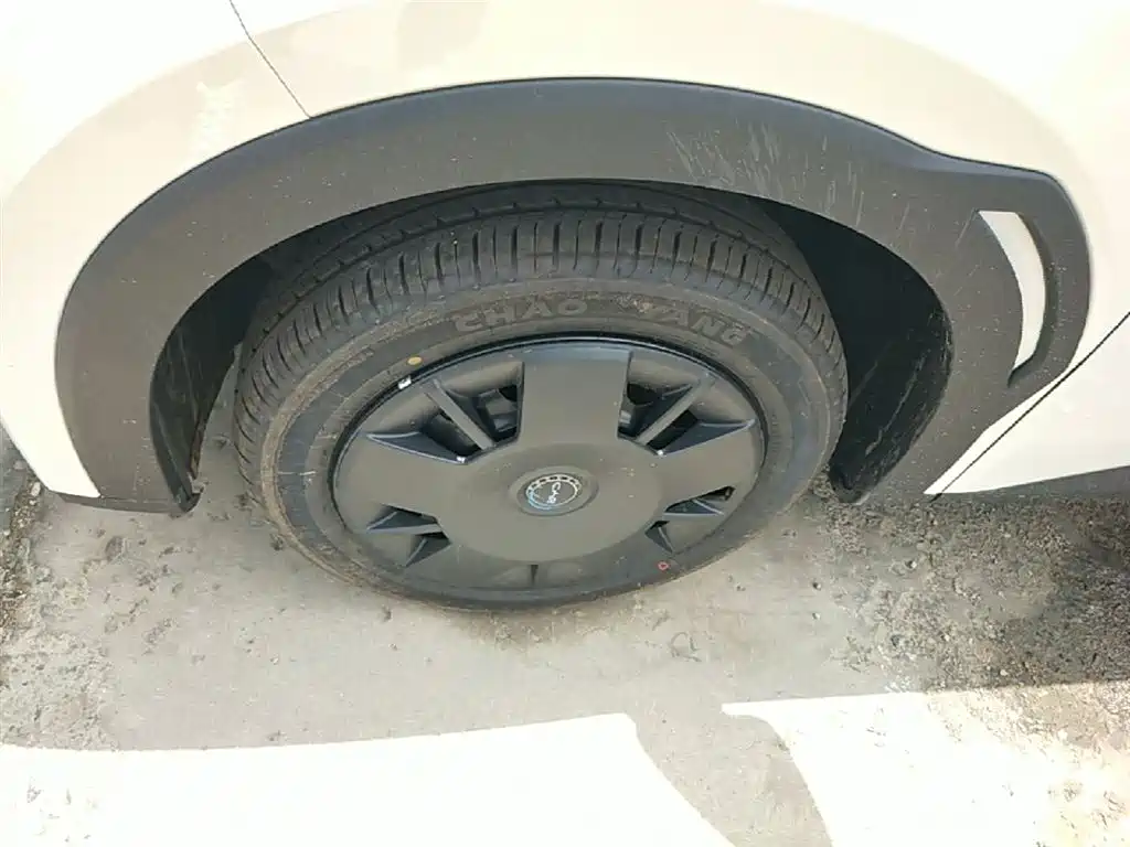 BYD Seagull 2025 Smart Drive Edition 305km Vitality Version фото 23