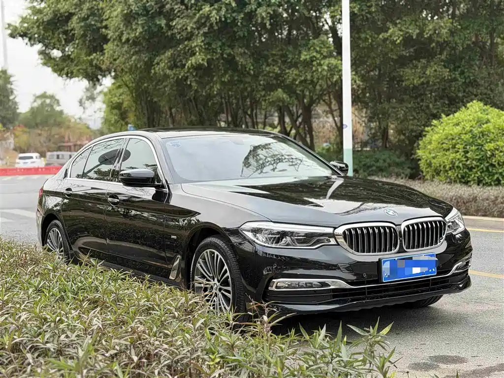 BMW 5 Series 2018 530Li Exclusive Luxury Package фото 3