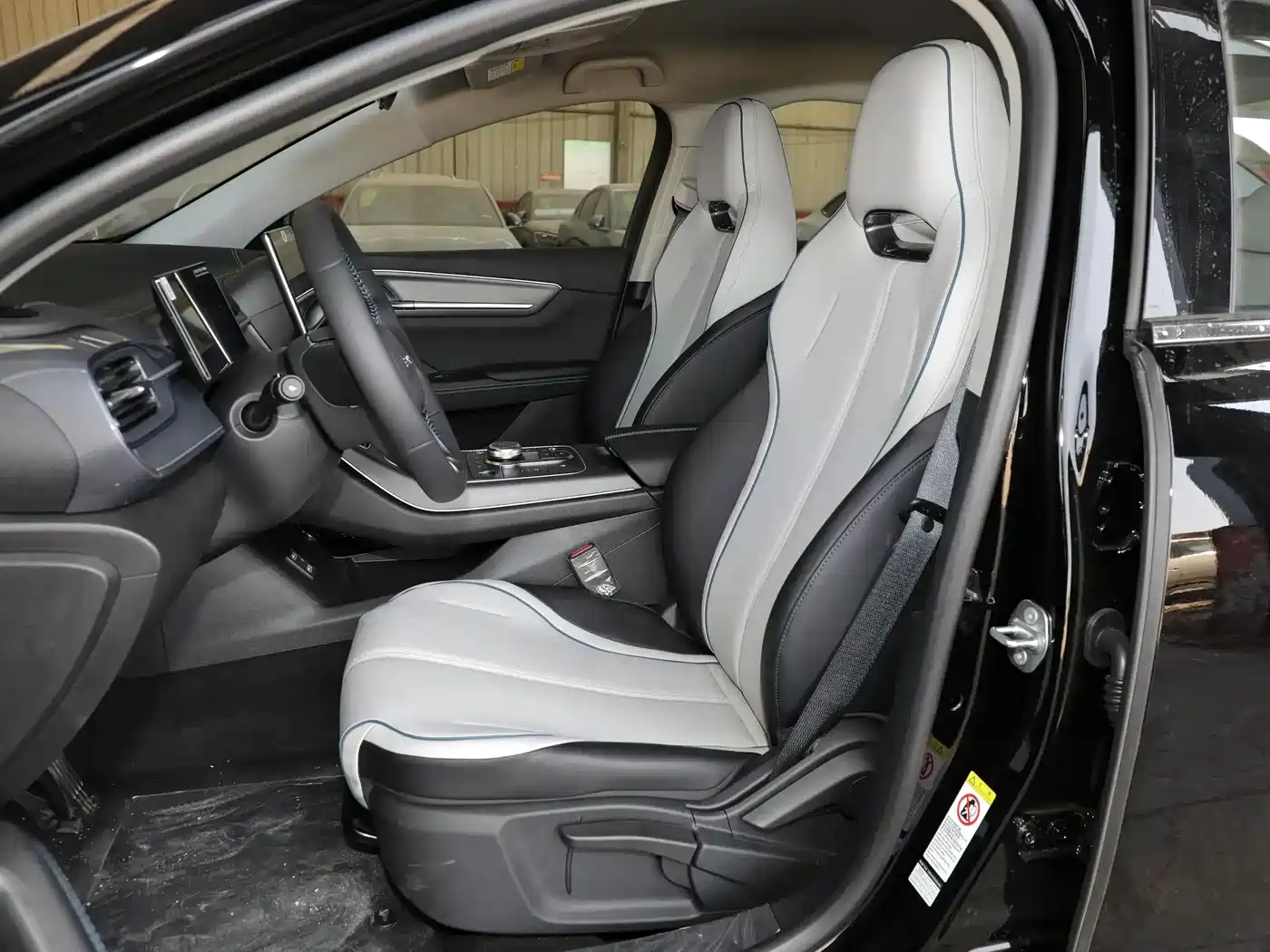 BYD Destroyer 05 2024 Glory Edition DM-i 55KM Luxury фото 7