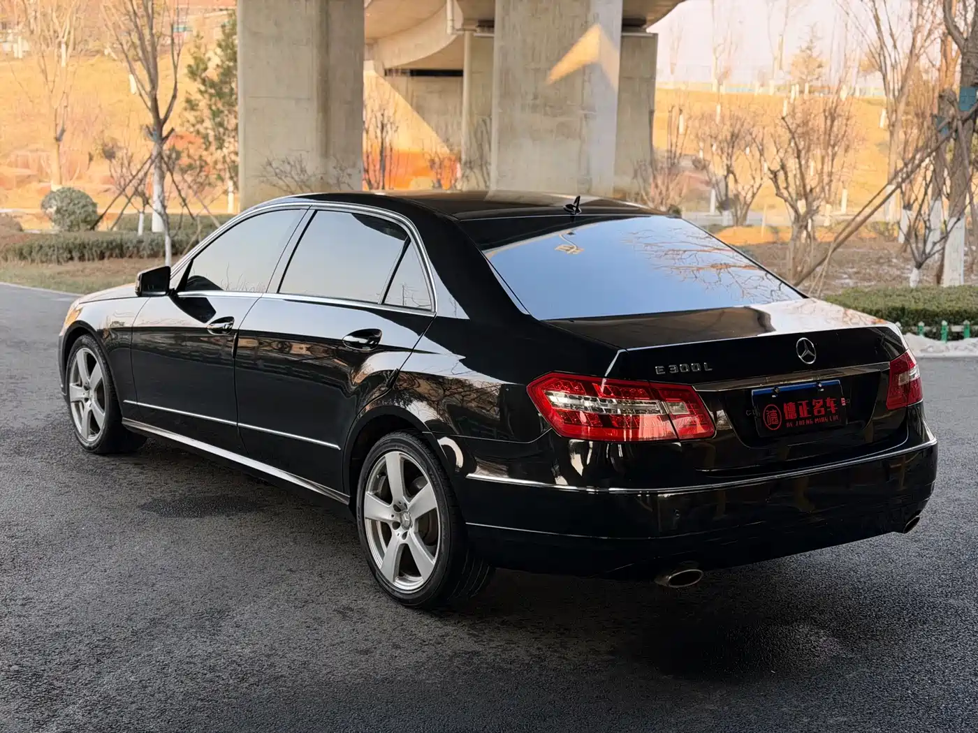 Mercedes-Benz E-Class 2013 E 300 L Elegance фото 7