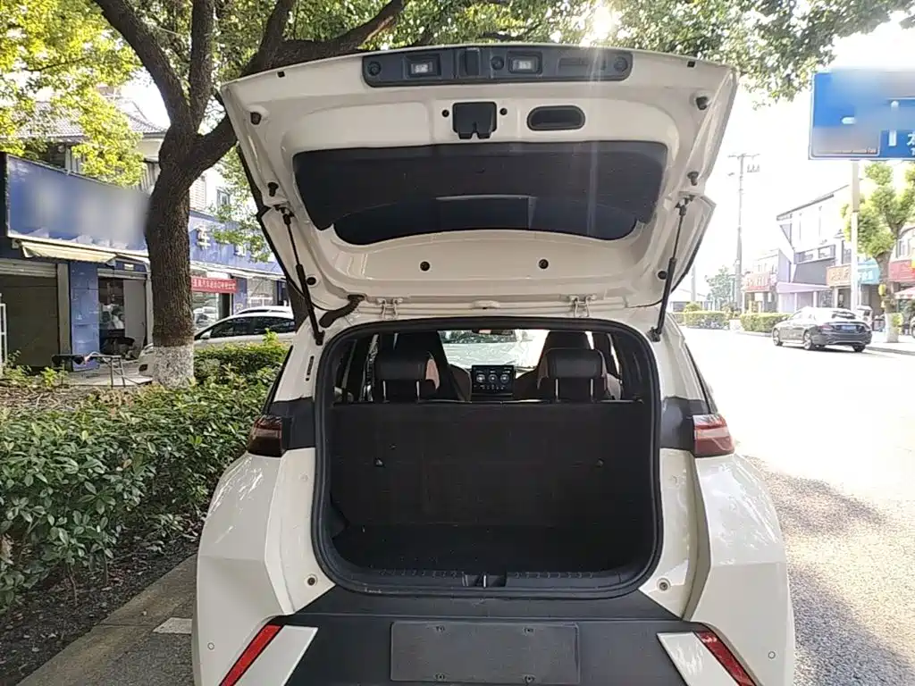 BYD Seagull 2023 2023 Flying Edition
