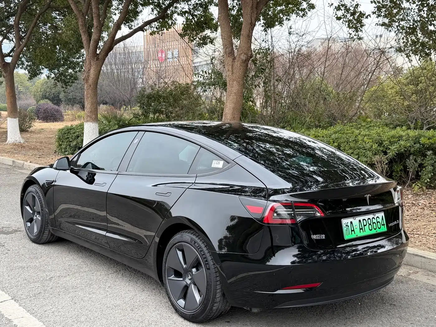 TESLA MODEL 3