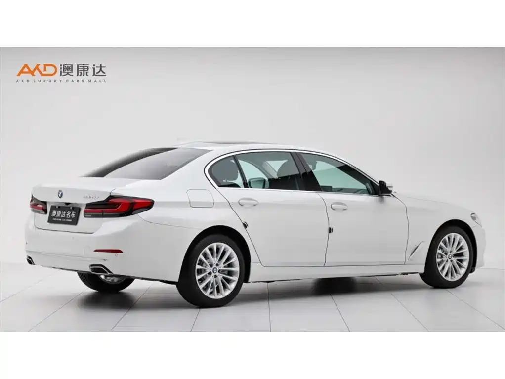 BMW 5 Series 2020 530Li Leading Luxury Package фото 3