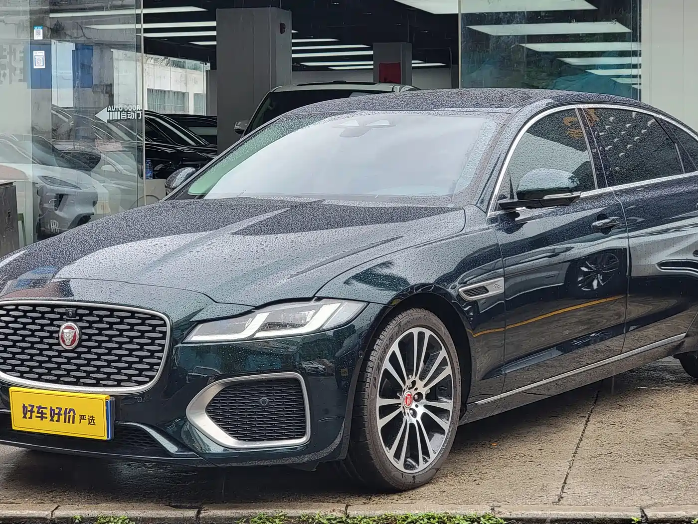 JAGUAR XFL